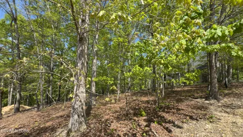 2085 Old Dogwood Tr