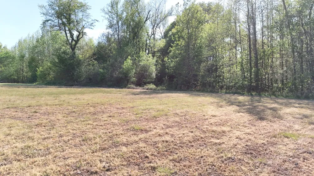 0 Sledge Rd Millington, TN 38053