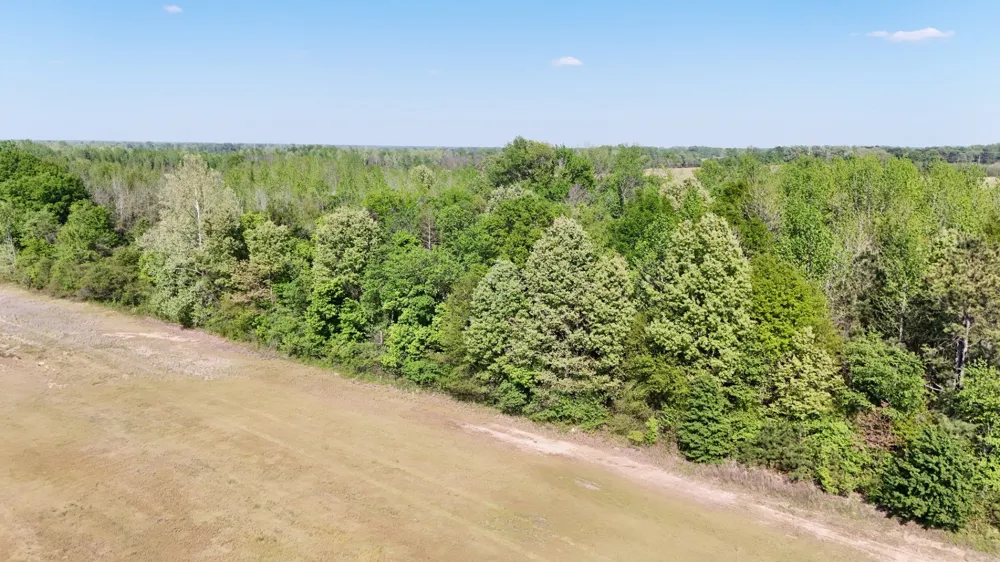 0 Sledge Rd Millington, TN 38053