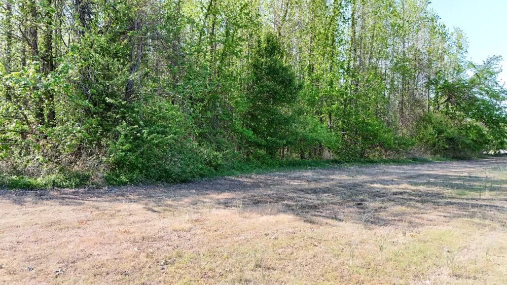 0 Sledge Rd Millington, TN 38053
