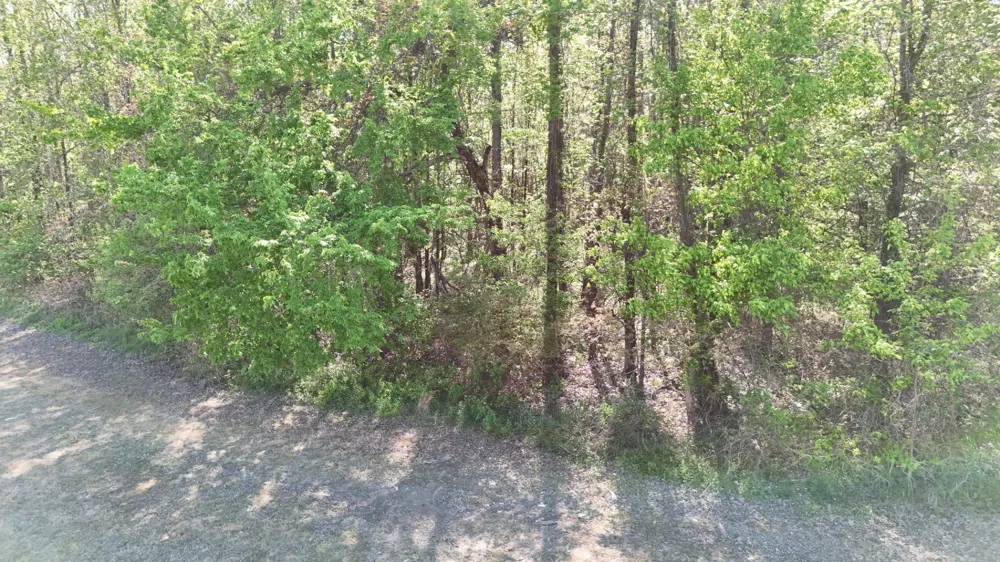 0 Sledge Rd Millington, TN 38053
