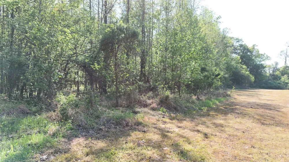 0 Sledge Rd Millington, TN 38053