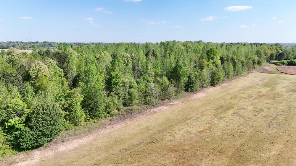0 Sledge Rd Millington, TN 38053