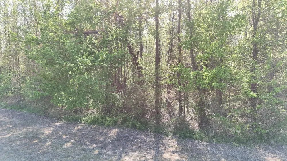 0 Sledge Rd Millington, TN 38053