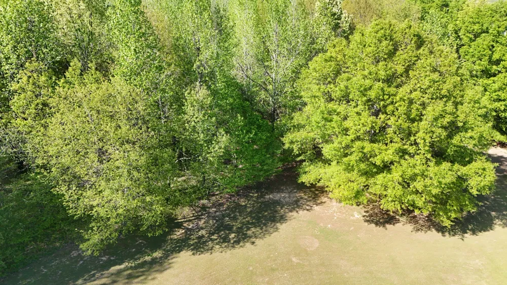 0 Sledge Rd Millington, TN 38053