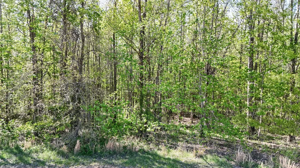 0 Sledge Rd Millington, TN 38053