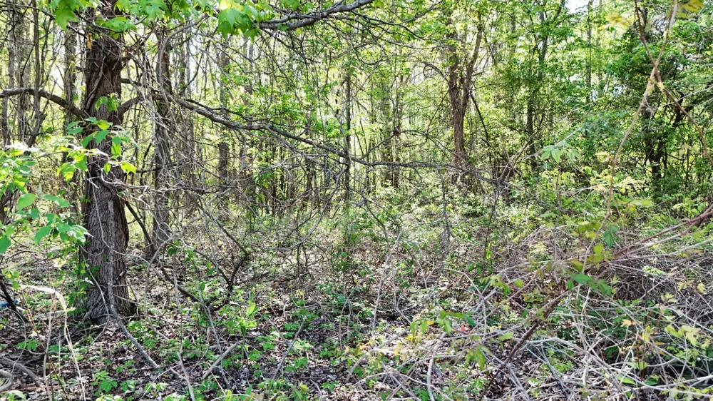 0 Sledge Rd Millington, TN 38053