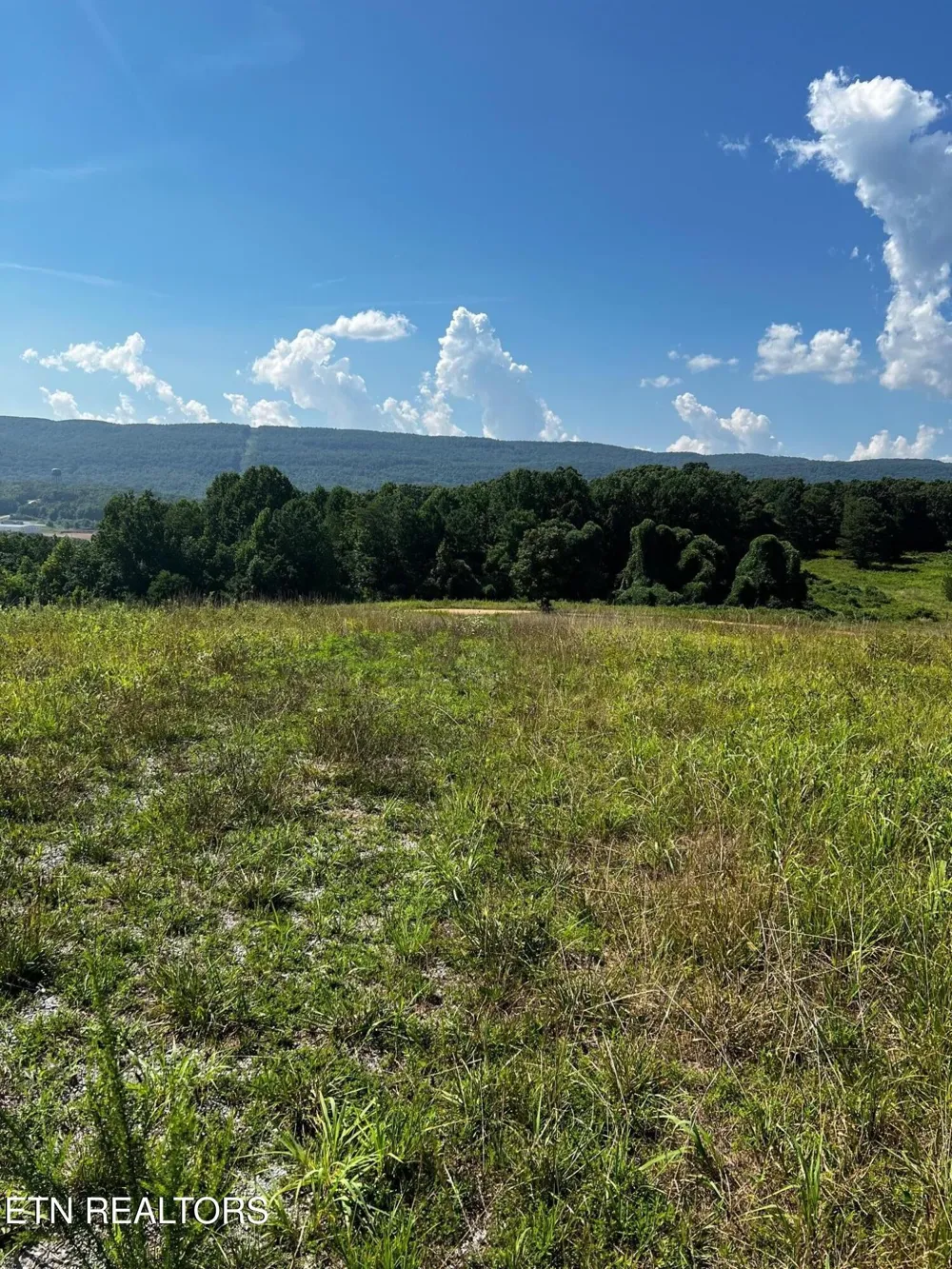 0 White Oak Rd Dayton, TN 37321