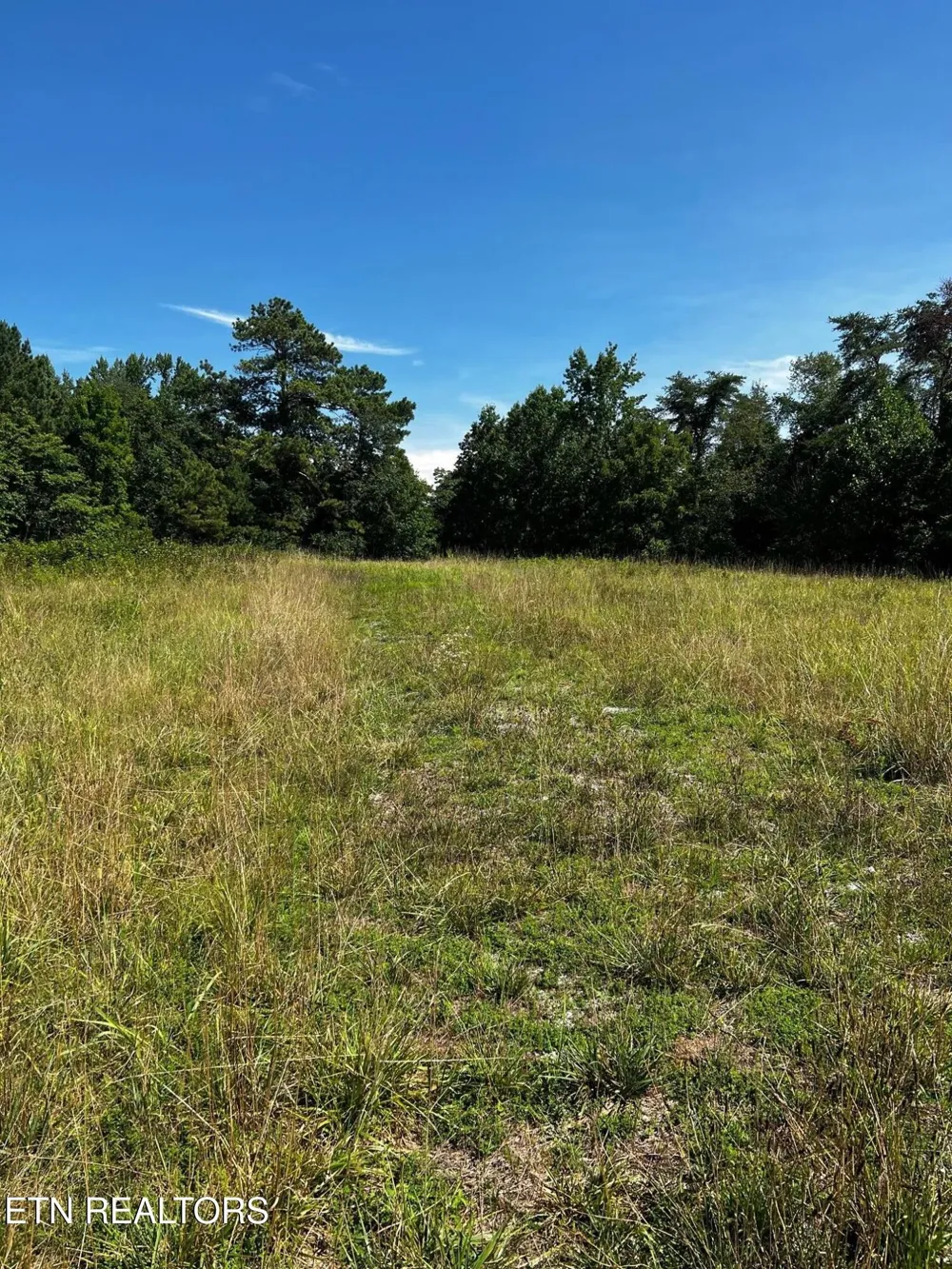 0 White Oak Rd Dayton, TN 37321