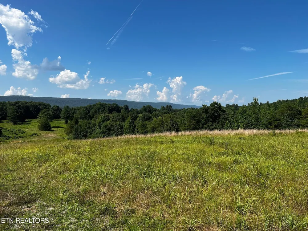 0 White Oak Rd Dayton, TN 37321