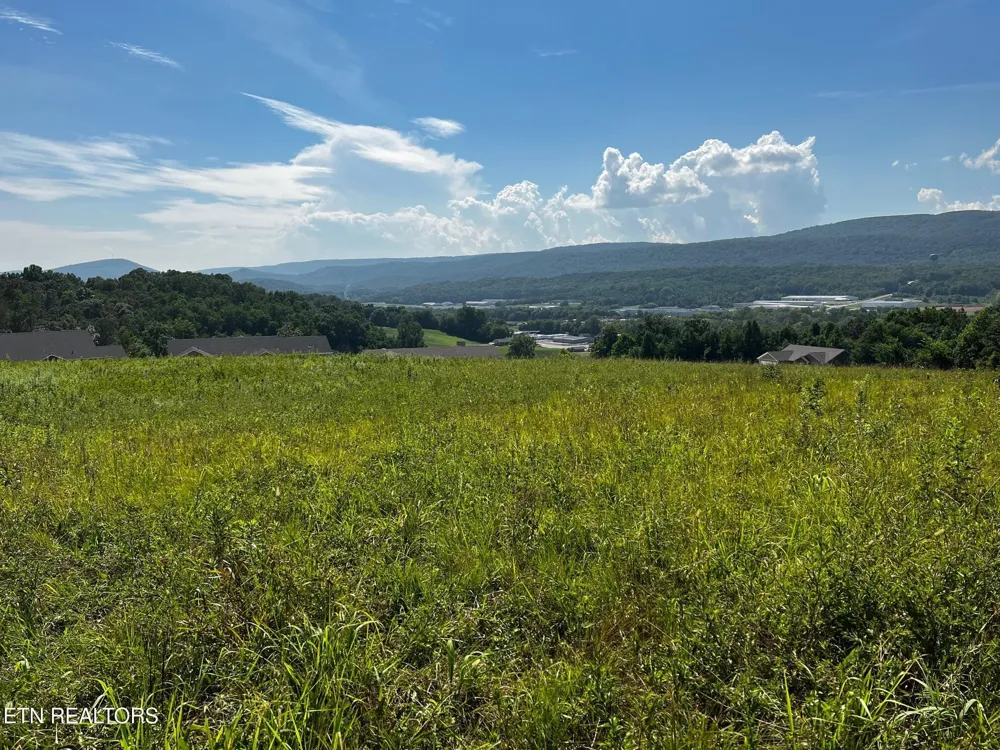 0 White Oak Rd Dayton, TN 37321