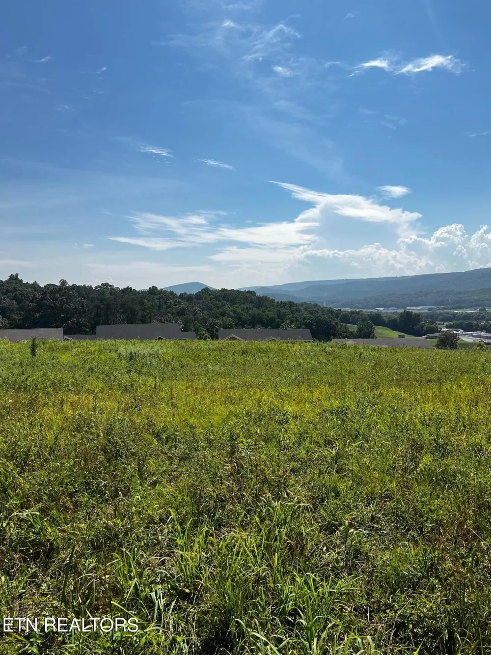 0 White Oak Rd Dayton, TN 37321