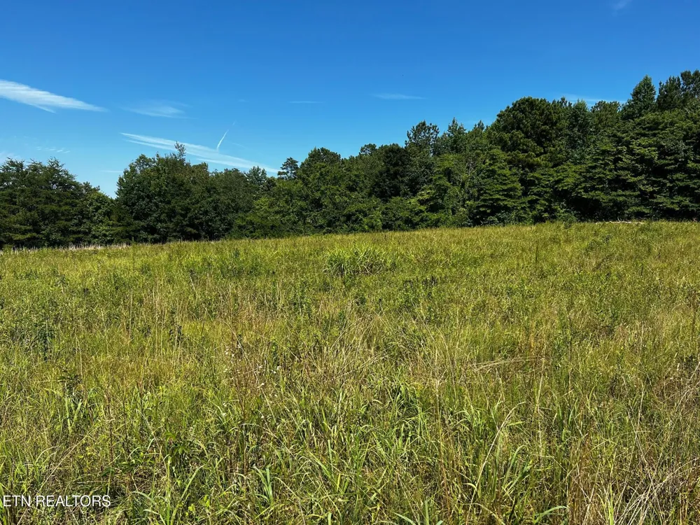 0 White Oak Rd Dayton, TN 37321