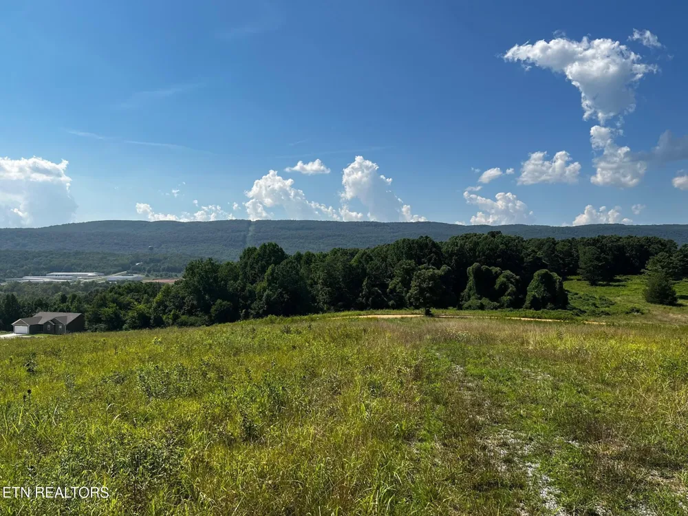 0 White Oak Rd Dayton, TN 37321
