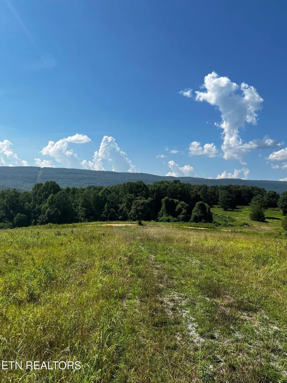 0 White Oak Rd Dayton, TN 37321