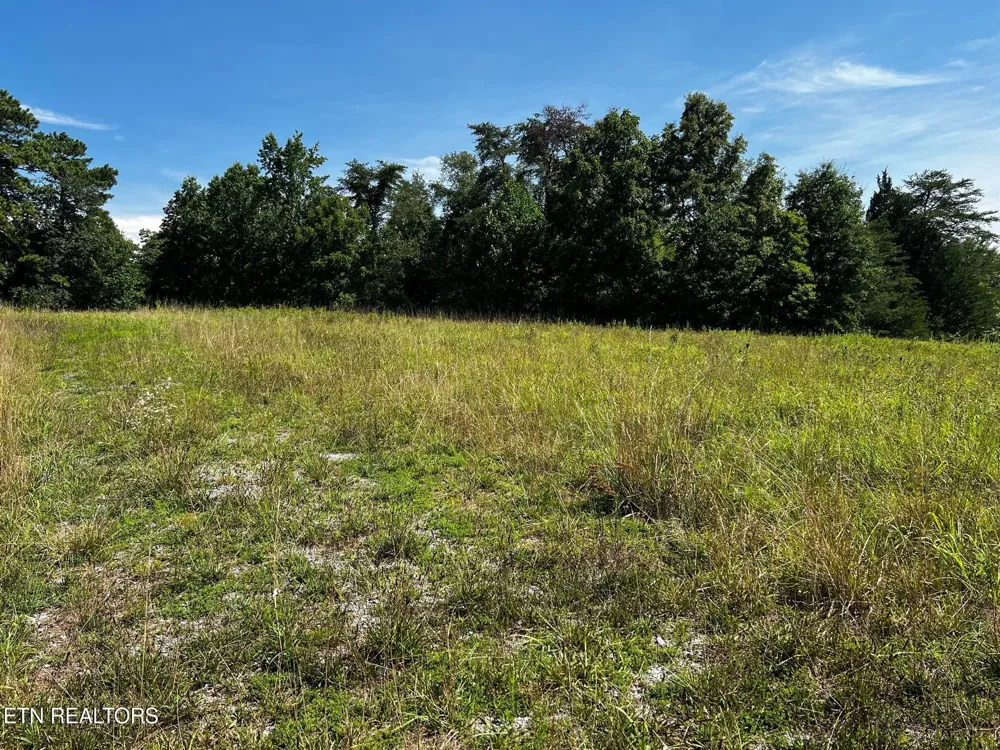 0 White Oak Rd Dayton, TN 37321