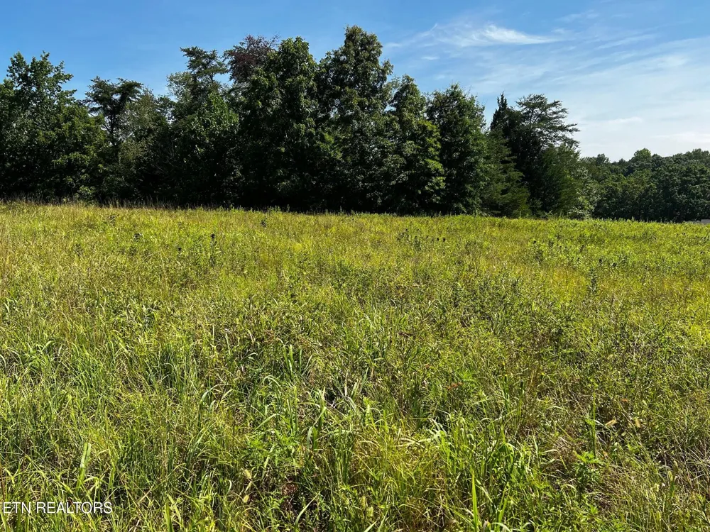 0 White Oak Rd Dayton, TN 37321