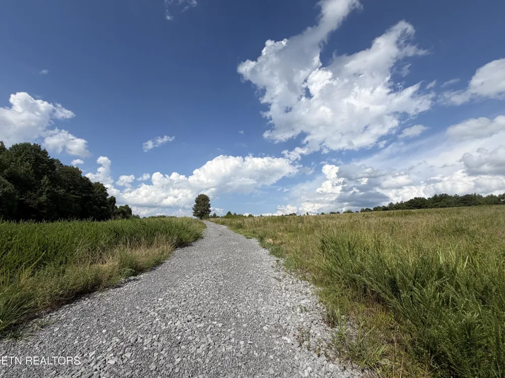 0 White Oak Rd Dayton, TN 37321