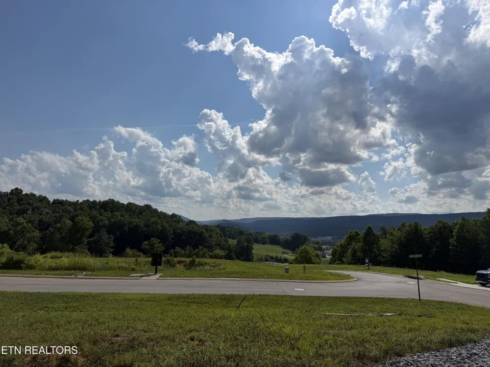 0 White Oak Rd Dayton, TN 37321