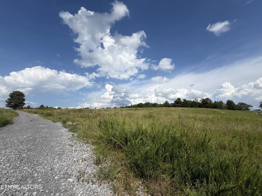 0 White Oak Rd Dayton, TN 37321