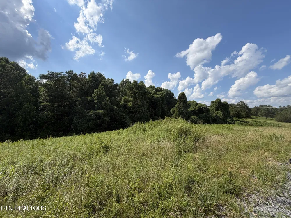 0 White Oak Rd Dayton, TN 37321