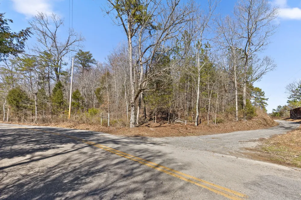 0 Andy Thomas Rd Dayton, TN 37321