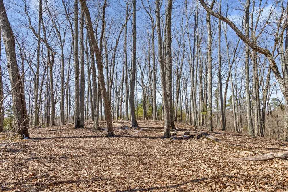 0 Andy Thomas Rd Dayton, TN 37321