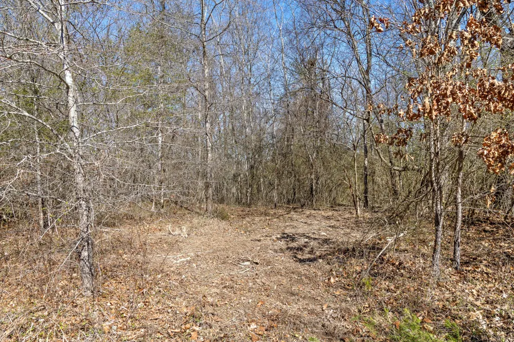 0 Andy Thomas Rd Dayton, TN 37321
