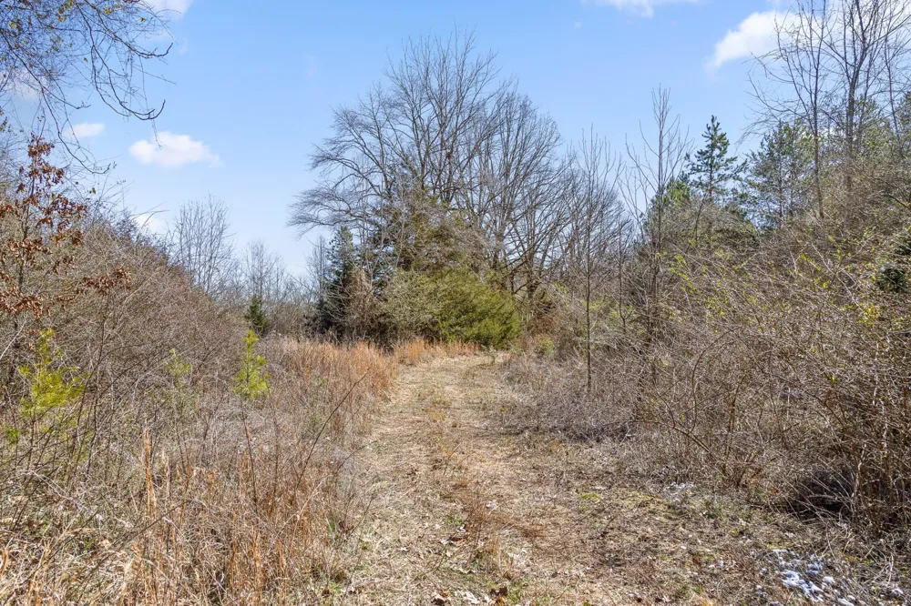 0 Andy Thomas Rd Dayton, TN 37321