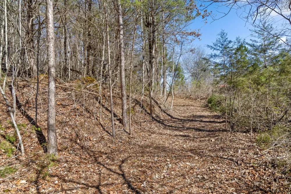 0 Andy Thomas Rd Dayton, TN 37321