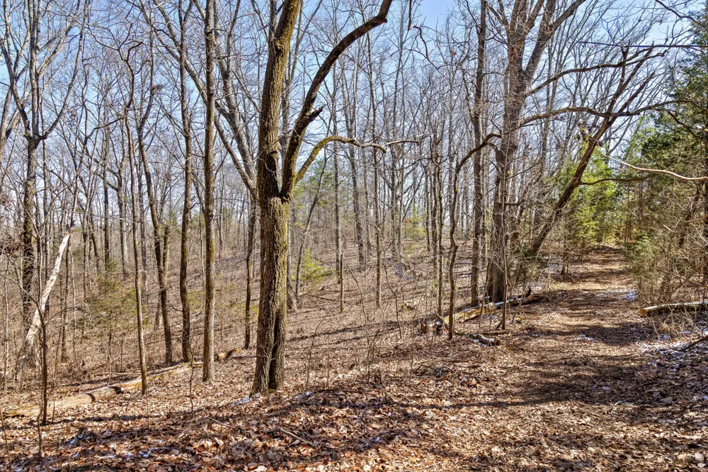 0 Andy Thomas Rd Dayton, TN 37321