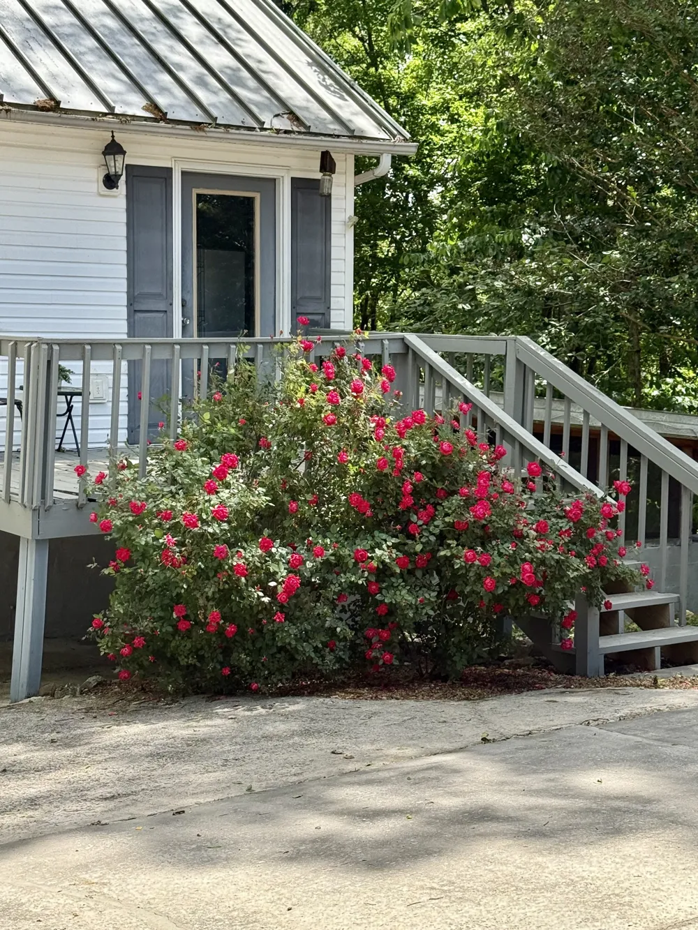 460 Mate Allen Rd Gainesboro, TN 38562