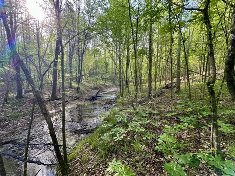 828 McCord Hollow Rd