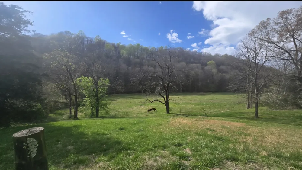 109 Creek Bend Ln Manchester, TN 37355