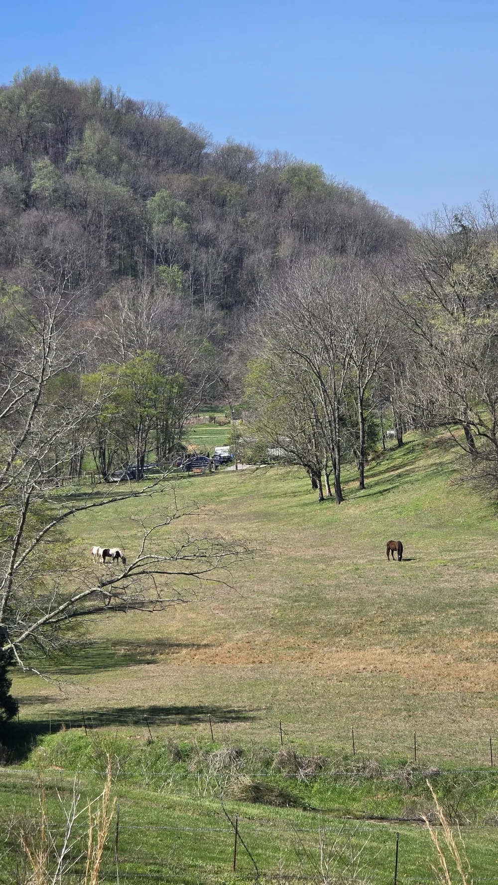 109 Creek Bend Ln Manchester, TN 37355