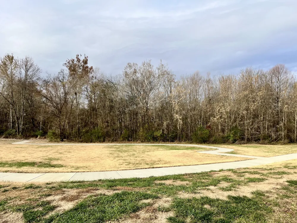 203B Folsom Pass Spring Hill, TN 37174