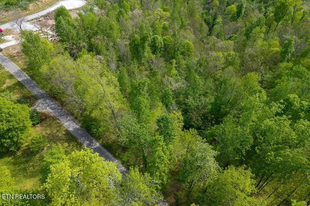 75 Backbone Rd Sparta, TN 38583