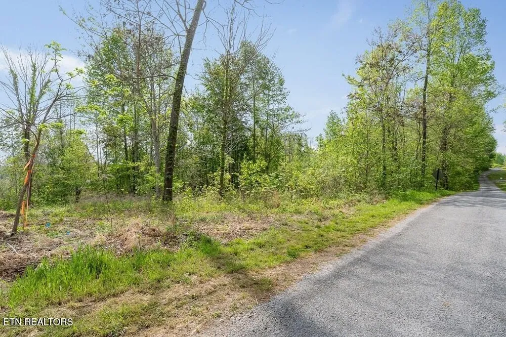 75 Backbone Rd Sparta, TN 38583