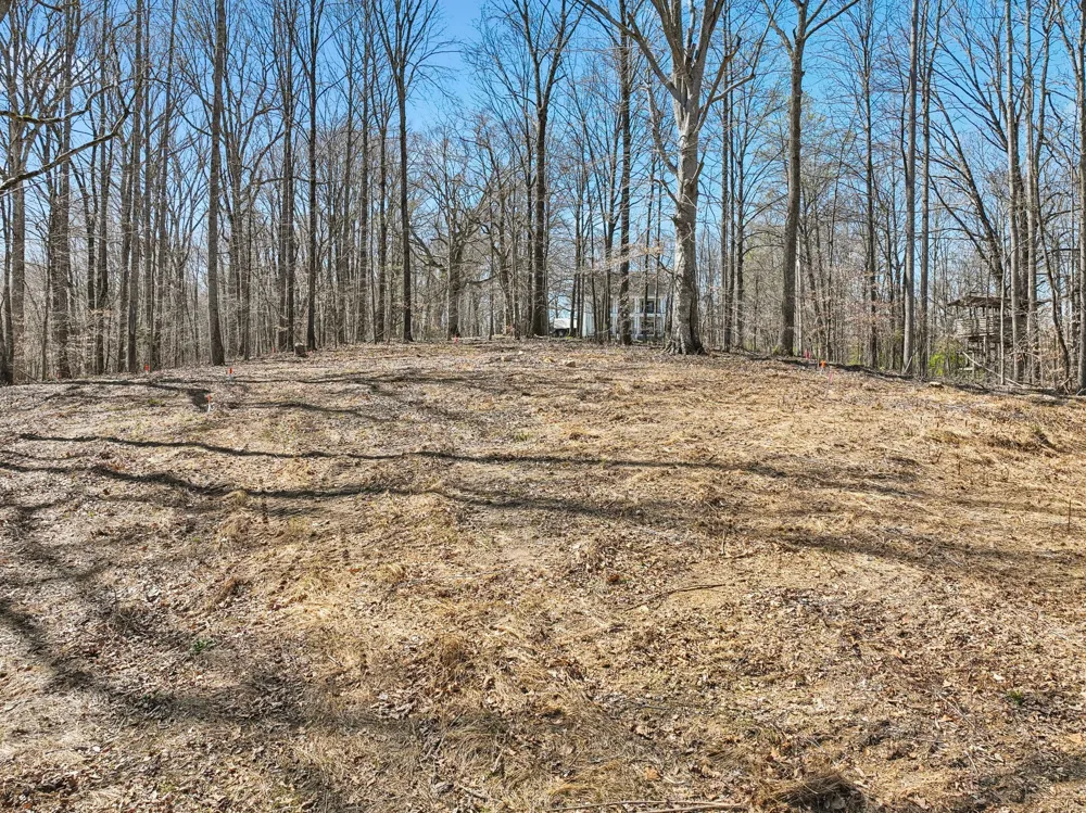 3819 Bear Creek Rd Thompsons Station, TN 37179