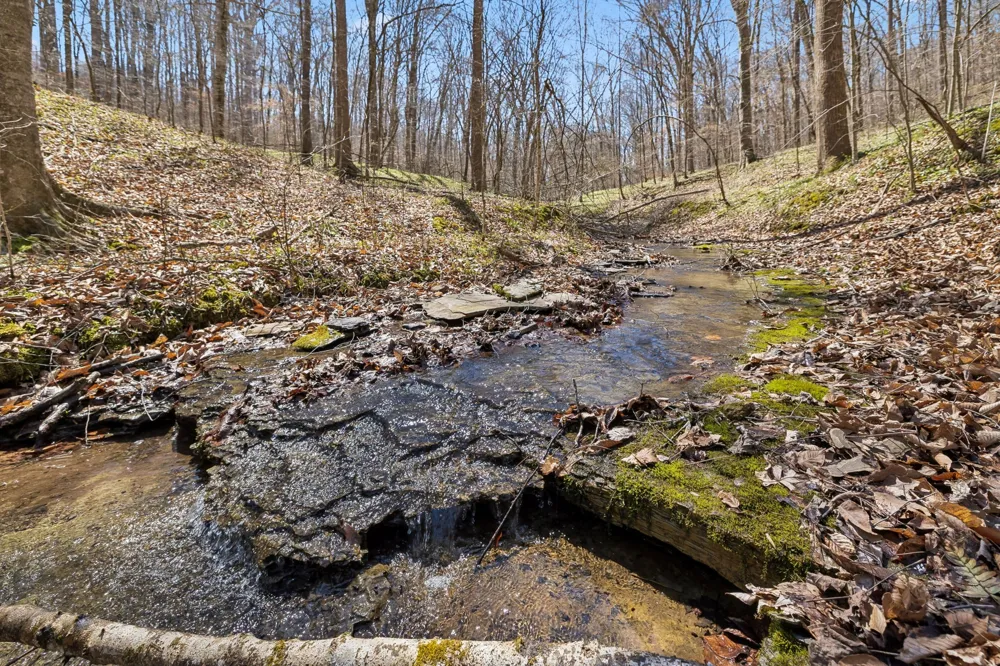 3819 Bear Creek Rd Thompsons Station, TN 37179