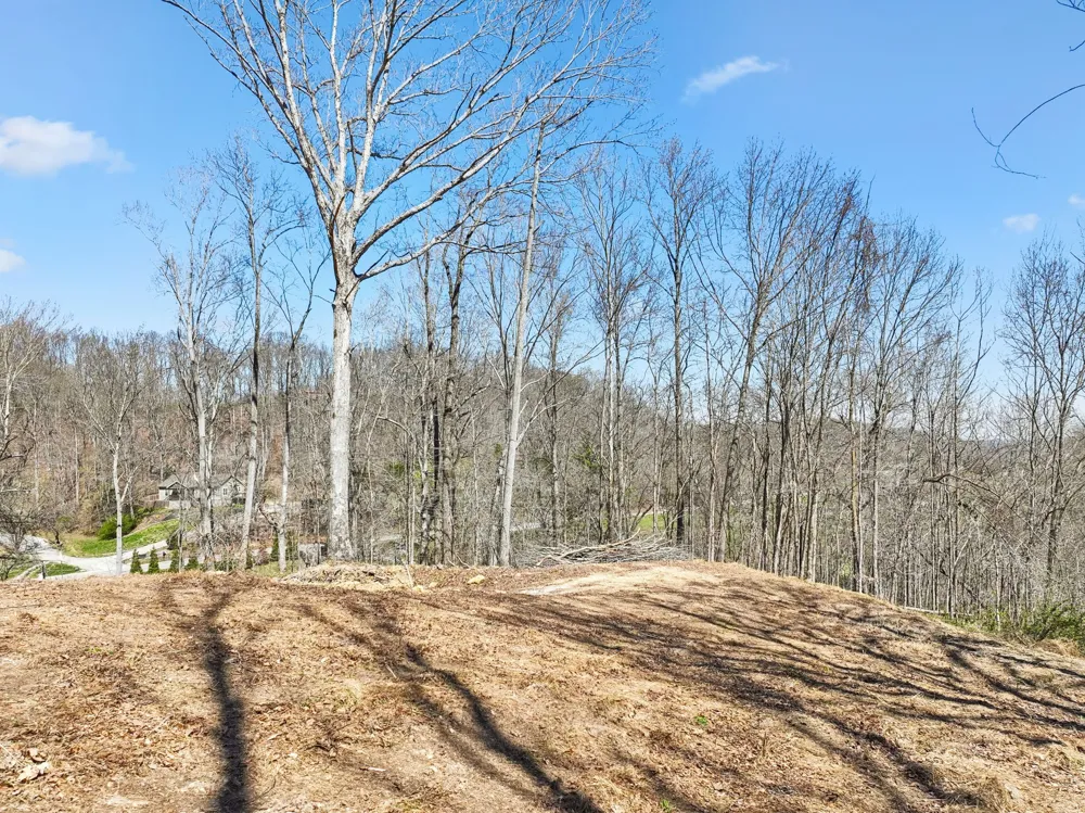 3819 Bear Creek Rd Thompsons Station, TN 37179