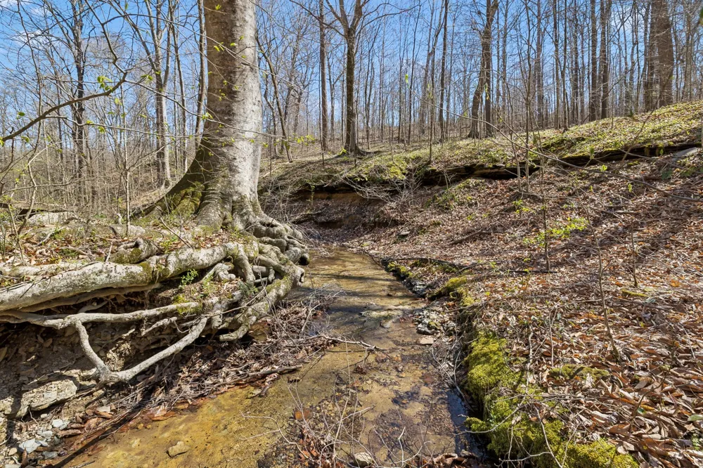 3819 Bear Creek Rd Thompsons Station, TN 37179