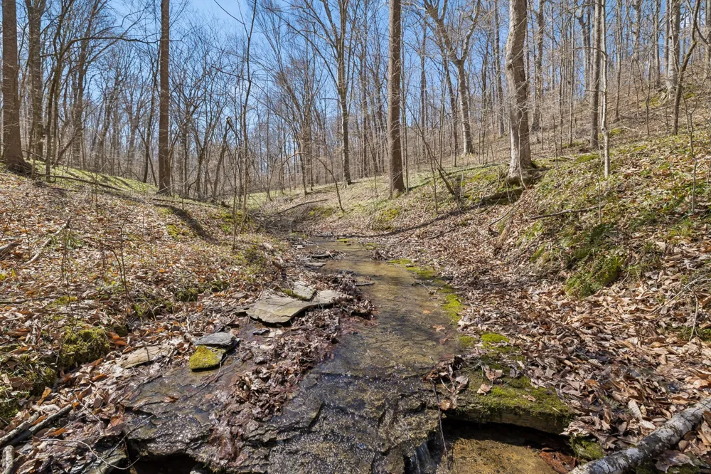 3819 Bear Creek Rd Thompsons Station, TN 37179