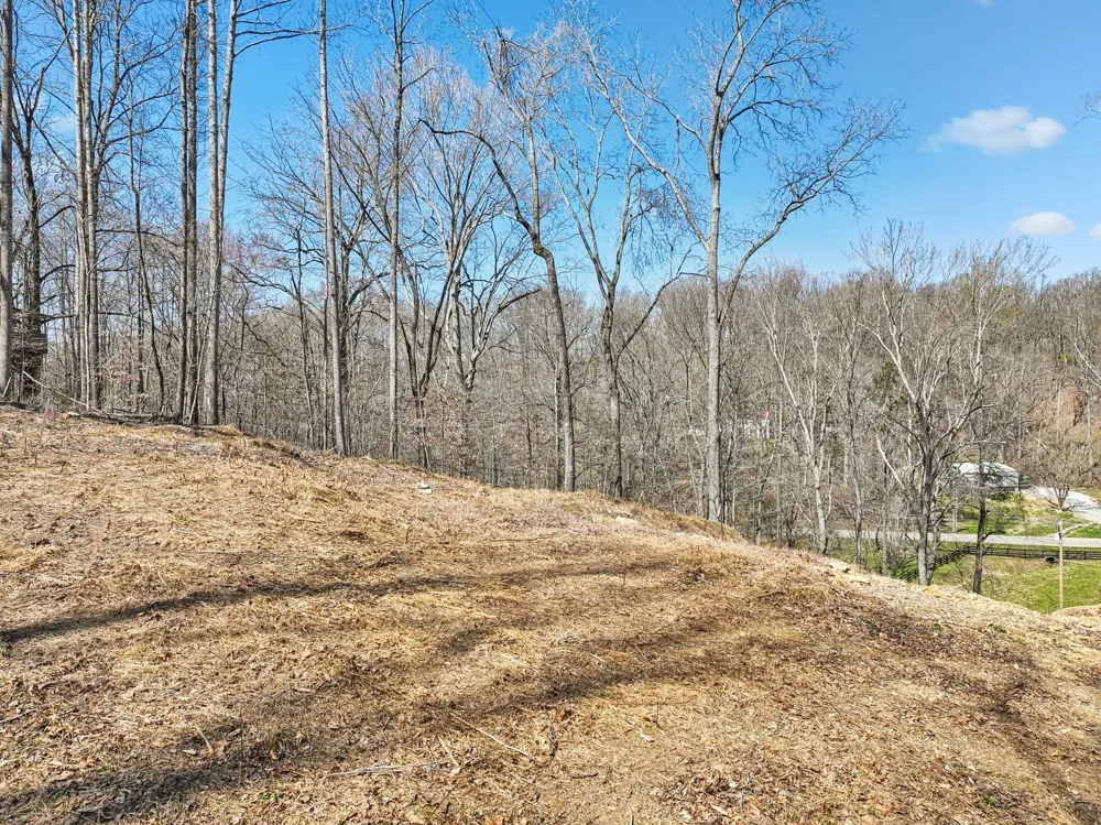 3819 Bear Creek Rd Thompsons Station, TN 37179
