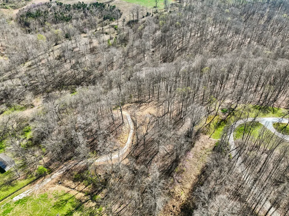 3819 Bear Creek Rd Thompsons Station, TN 37179