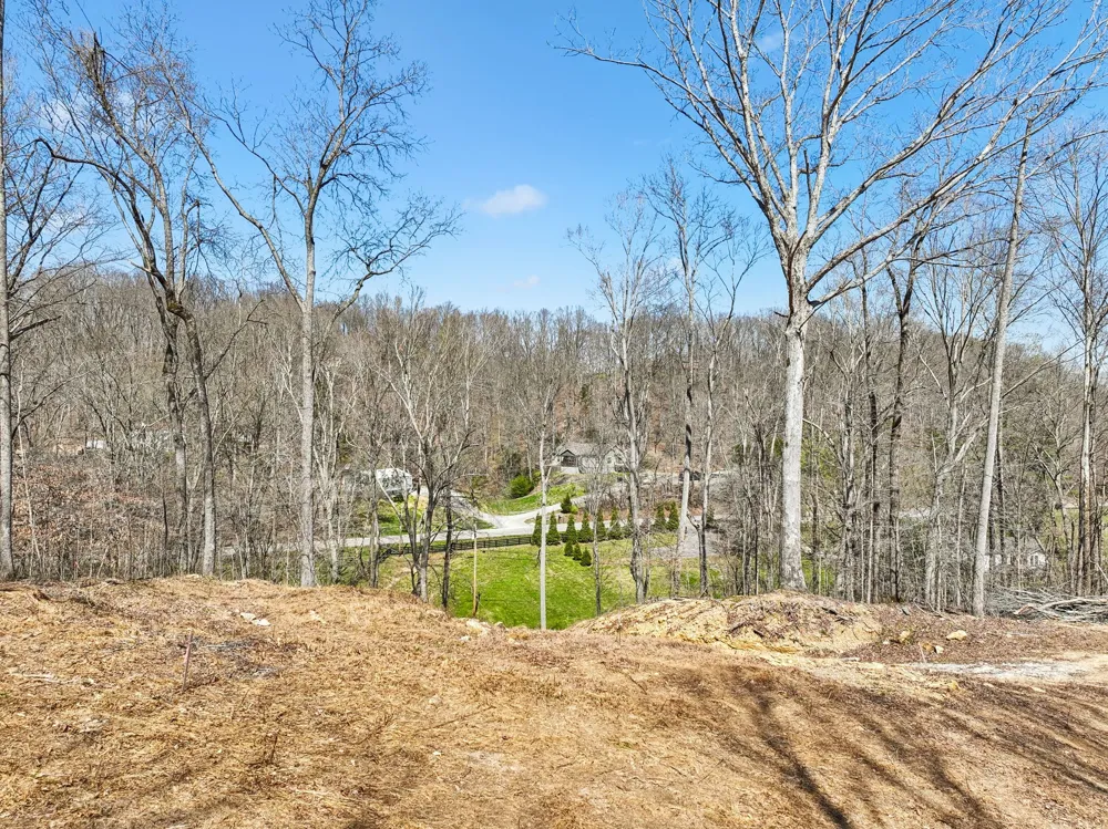 3819 Bear Creek Rd Thompsons Station, TN 37179