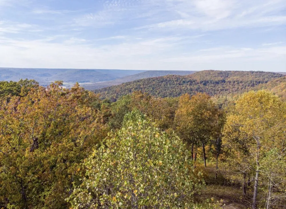 390 Volunteer Street Jasper, TN 37347