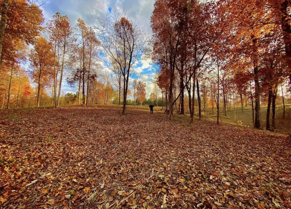 390 Volunteer Street Jasper, TN 37347