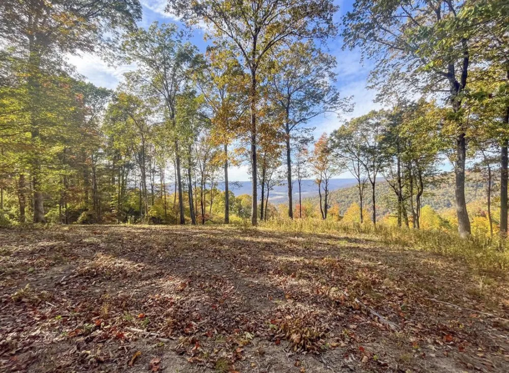 390 Volunteer Street Jasper, TN 37347