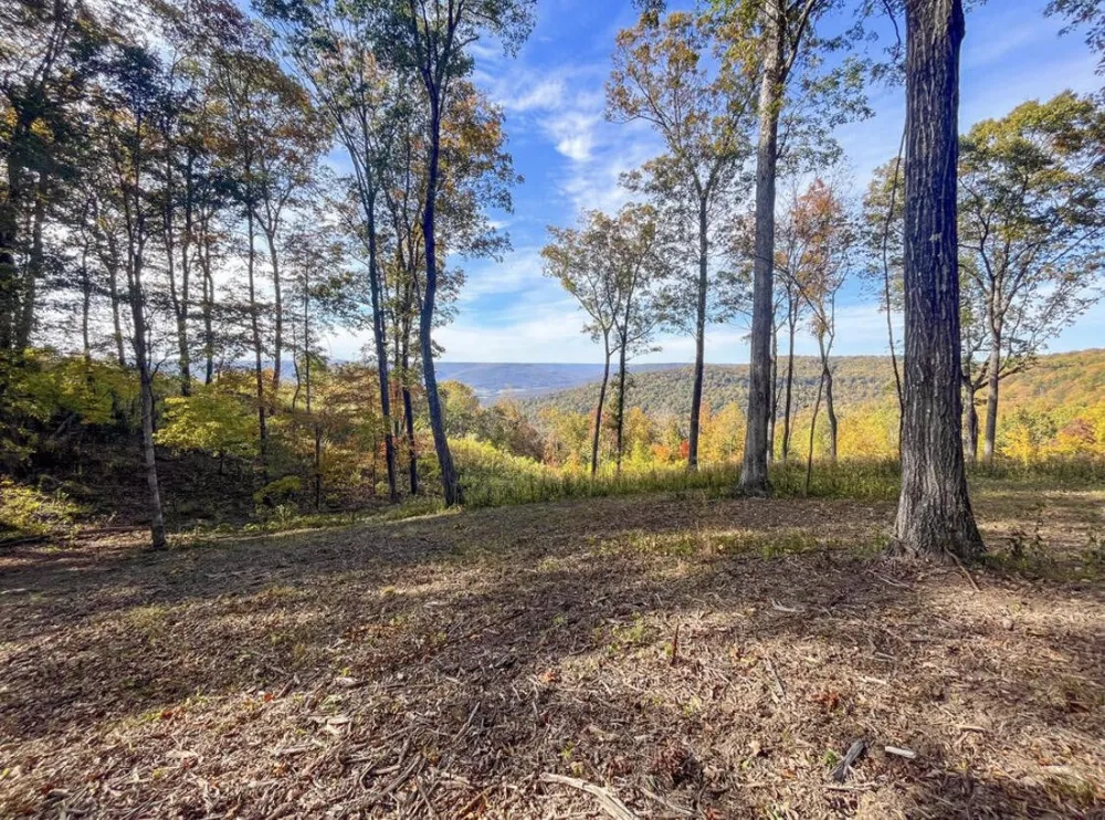 390 Volunteer Street Jasper, TN 37347